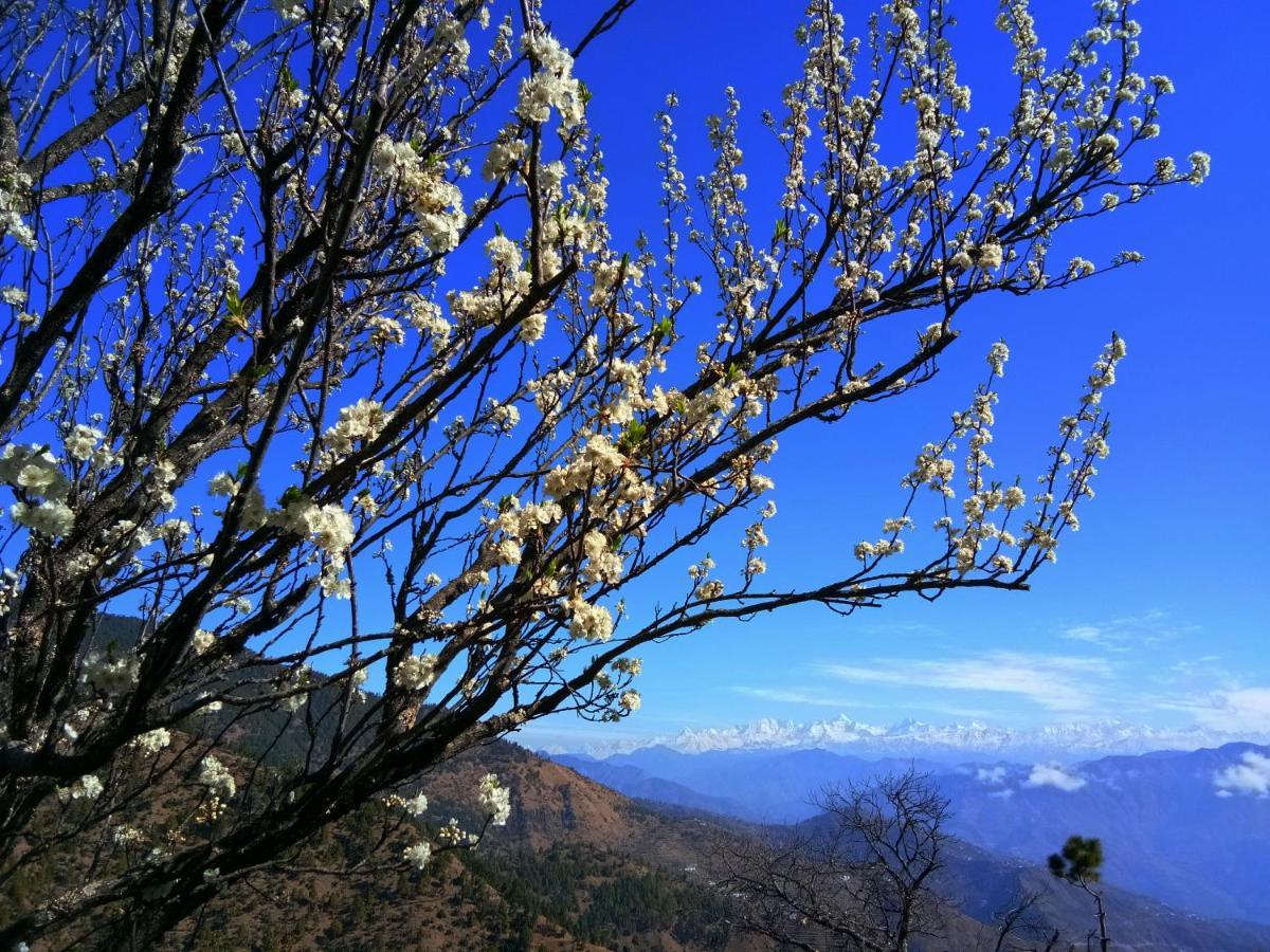 In Apple Estate Kanatal - Himalayan View Resort With Courteous Staff Екстериор снимка